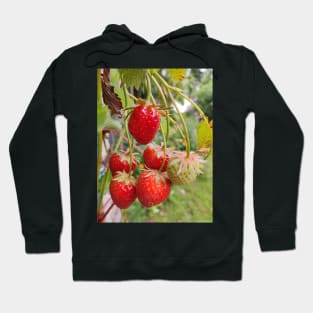 Strawberries Hoodie